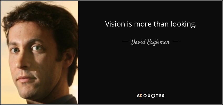 Vision is more than looking. - David Eagleman