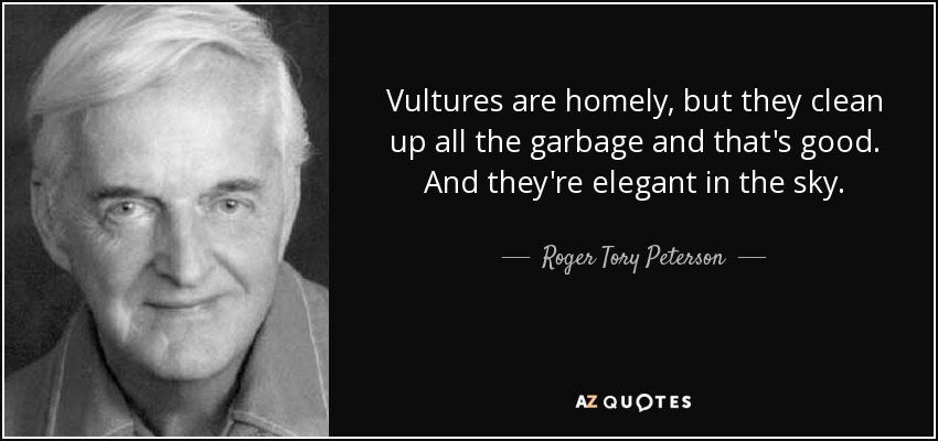 Vultures are homely, but they clean up all the garbage and that's good. And they're elegant in the sky. - Roger Tory Peterson