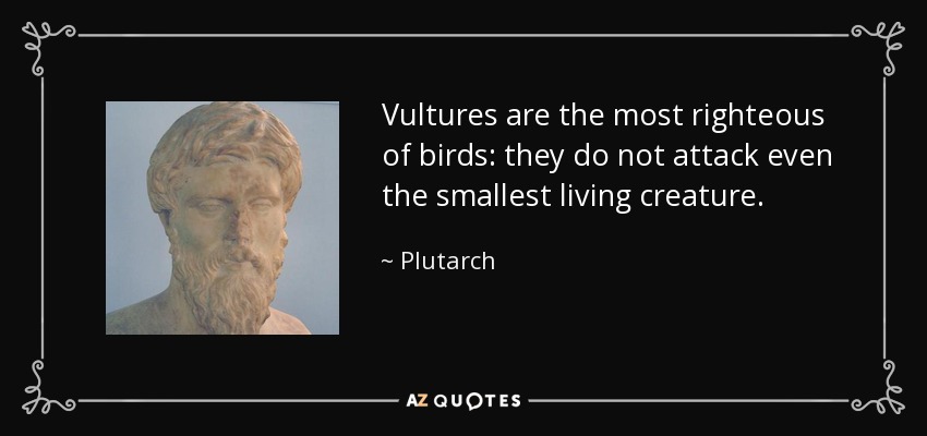 Vultures are the most righteous of birds: they do not attack even the smallest living creature. - Plutarch