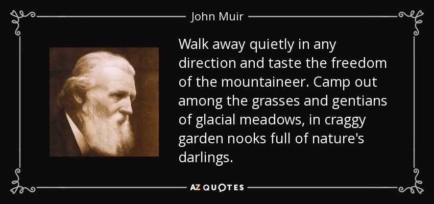 Walk away quietly in any direction and taste the freedom of the mountaineer. Camp out among the grasses and gentians of glacial meadows, in craggy garden nooks full of nature's darlings. - John Muir