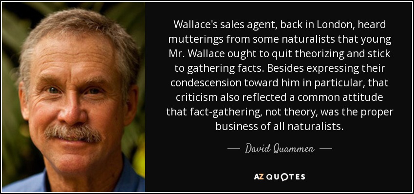 Wallace's sales agent, back in London, heard mutterings from some naturalists that young Mr. Wallace ought to quit theorizing and stick to gathering facts. Besides expressing their condescension toward him in particular, that criticism also reflected a common attitude that fact-gathering, not theory, was the proper business of all naturalists. - David Quammen