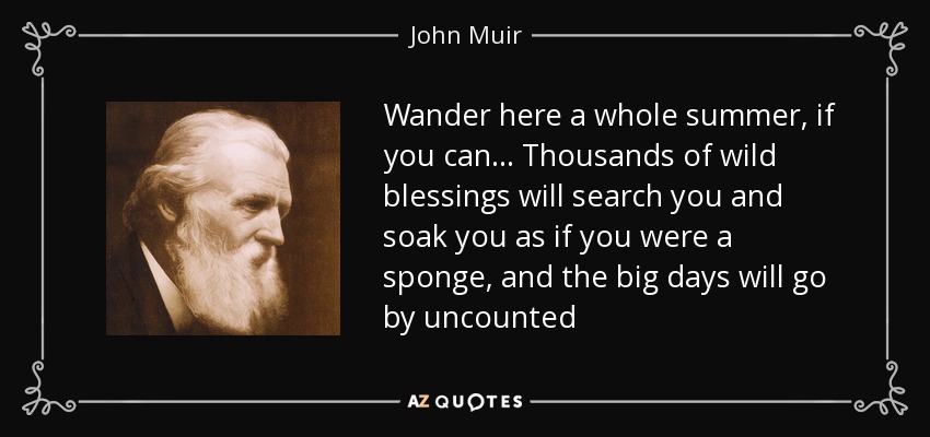 Wander here a whole summer, if you can ... Thousands of wild blessings will search you and soak you as if you were a sponge, and the big days will go by uncounted - John Muir