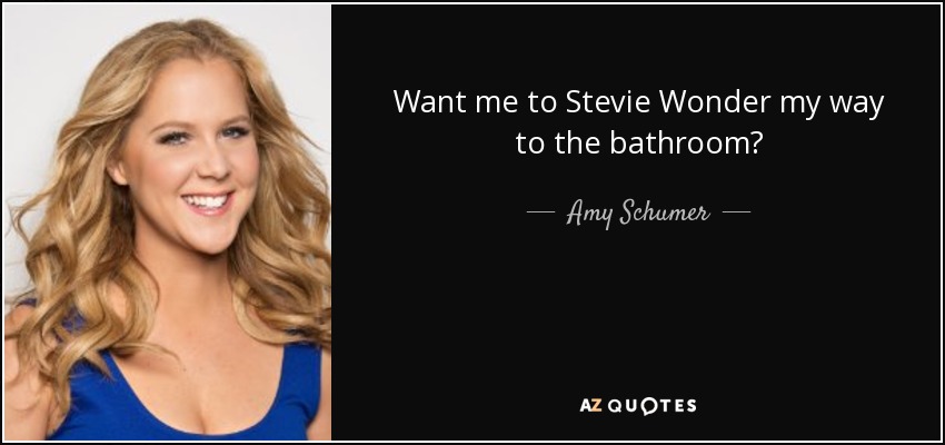 Want me to Stevie Wonder my way to the bathroom? - Amy Schumer
