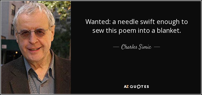 Wanted: a needle swift enough to sew this poem into a blanket. - Charles Simic