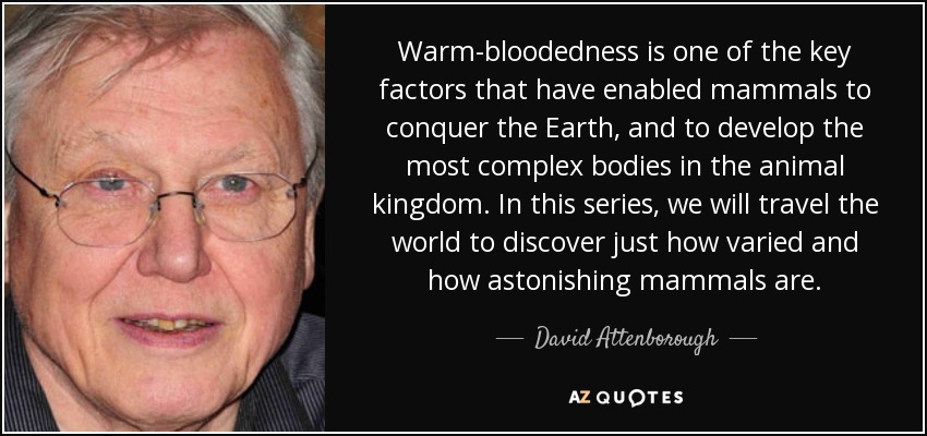 Warm-bloodedness is one of the key factors that have enabled mammals to conquer the Earth, and to develop the most complex bodies in the animal kingdom. In this series, we will travel the world to discover just how varied and how astonishing mammals are. - David Attenborough