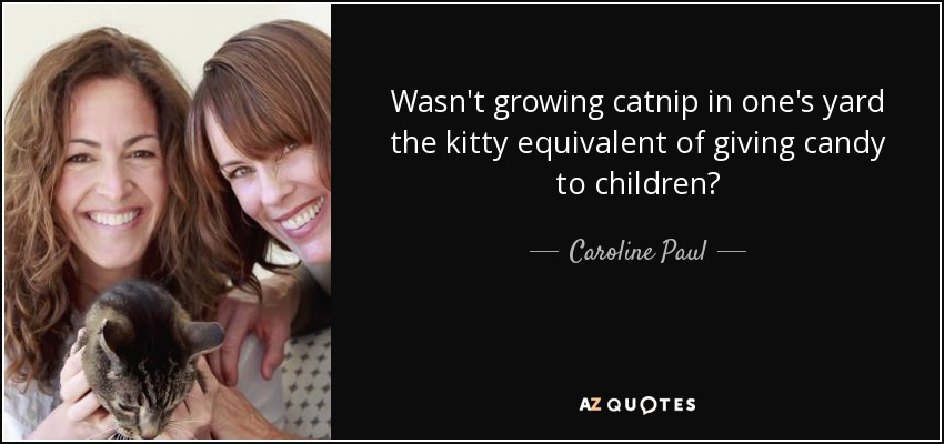 Wasn't growing catnip in one's yard the kitty equivalent of giving candy to children? - Caroline Paul