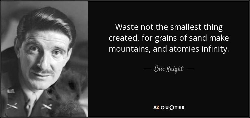 Waste not the smallest thing created, for grains of sand make mountains, and atomies infinity. - Eric Knight
