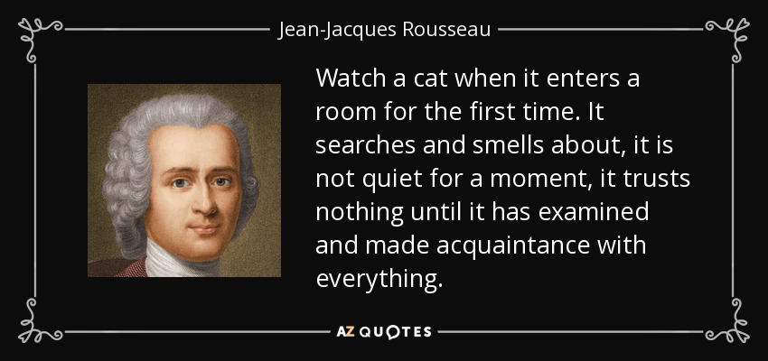 Watch a cat when it enters a room for the first time. It searches and smells about, it is not quiet for a moment, it trusts nothing until it has examined and made acquaintance with everything. - Jean-Jacques Rousseau