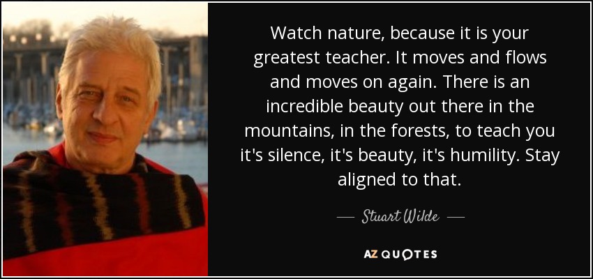 Watch nature, because it is your greatest teacher. It moves and flows and moves on again. There is an incredible beauty out there in the mountains, in the forests, to teach you it's silence, it's beauty, it's humility. Stay aligned to that. - Stuart Wilde