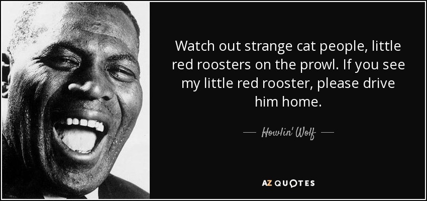 Watch out strange cat people, little red roosters on the prowl. If you see my little red rooster, please drive him home. - Howlin' Wolf