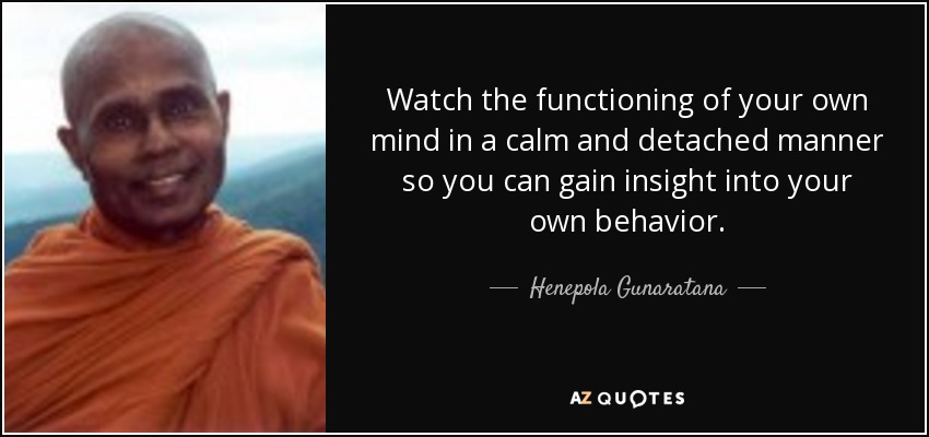 Watch the functioning of your own mind in a calm and detached manner so you can gain insight into your own behavior. - Henepola Gunaratana