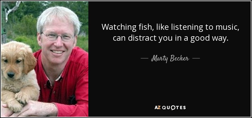 Watching fish, like listening to music, can distract you in a good way. - Marty Becker