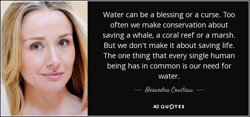 Water can be a blessing or a curse. Too often we make conservation about saving a whale, a coral reef or a marsh. But we don't make it about saving life. The one thing that every single human being has in common is our need for water. - Alexandra Cousteau