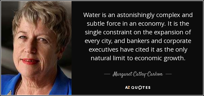 Water is an astonishingly complex and subtle force in an economy. It is the single constraint on the expansion of every city, and bankers and corporate executives have cited it as the only natural limit to economic growth. - Margaret Catley-Carlson