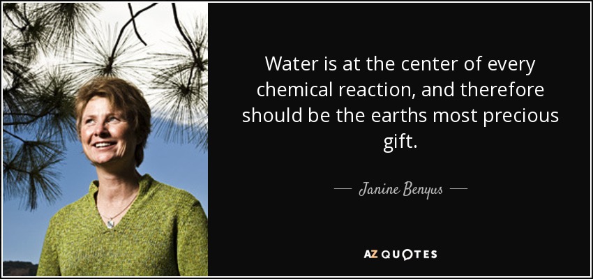 Water is at the center of every chemical reaction, and therefore should be the earths most precious gift. - Janine Benyus