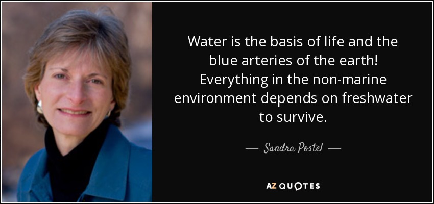 Water is the basis of life and the blue arteries of the earth! Everything in the non-marine environment depends on freshwater to survive. - Sandra Postel
