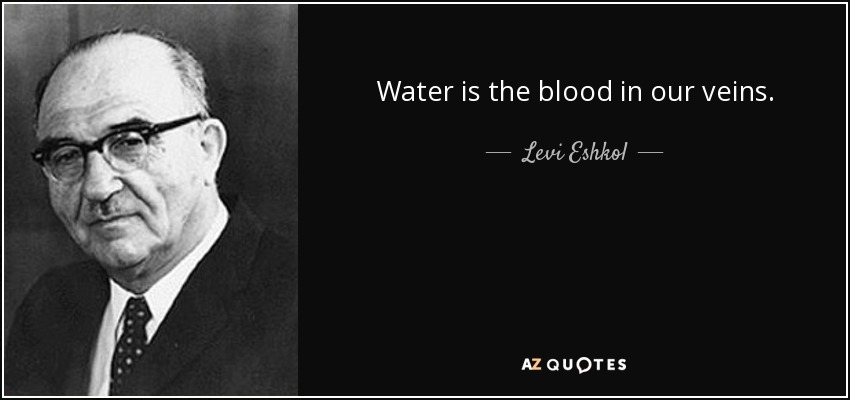 Water is the blood in our veins. - Levi Eshkol