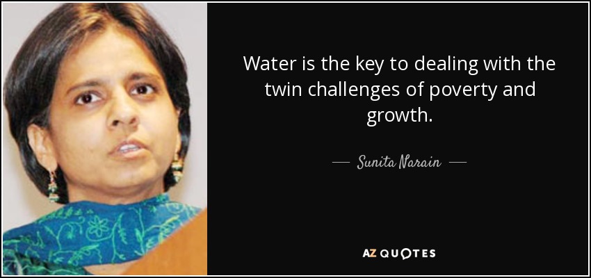 Water is the key to dealing with the twin challenges of poverty and growth. - Sunita Narain
