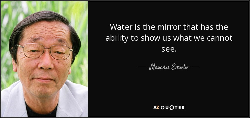 Water is the mirror that has the ability to show us what we cannot see. - Masaru Emoto