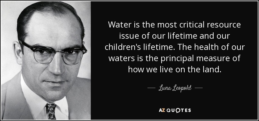 Water is the most critical resource issue of our lifetime and our children's lifetime. The health of our waters is the principal measure of how we live on the land. - Luna Leopold