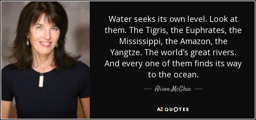 Alison McGhee quote: Water seeks its own level. Look at them. The Tigris...