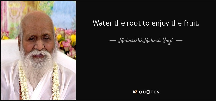 Water the root to enjoy the fruit. - Maharishi Mahesh Yogi