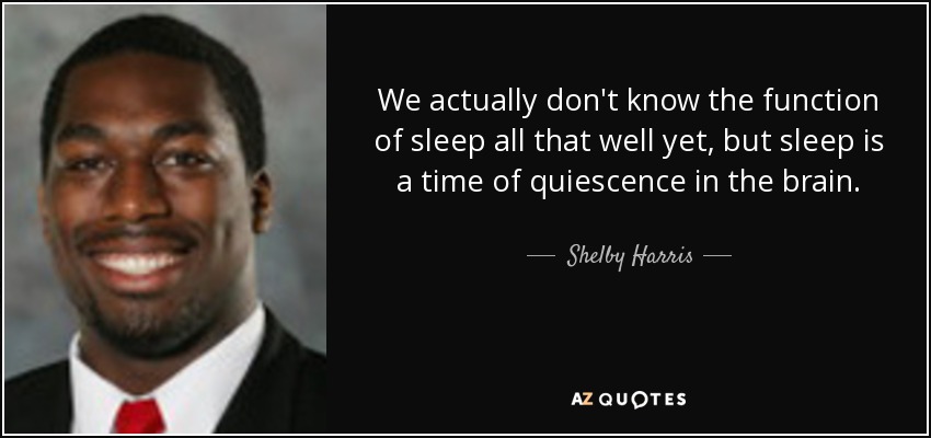 We actually don't know the function of sleep all that well yet, but sleep is a time of quiescence in the brain. - Shelby Harris
