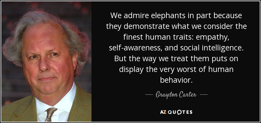 We admire elephants in part because they demonstrate what we consider the finest human traits: empathy, self-awareness, and social intelligence. But the way we treat them puts on display the very worst of human behavior. - Graydon Carter