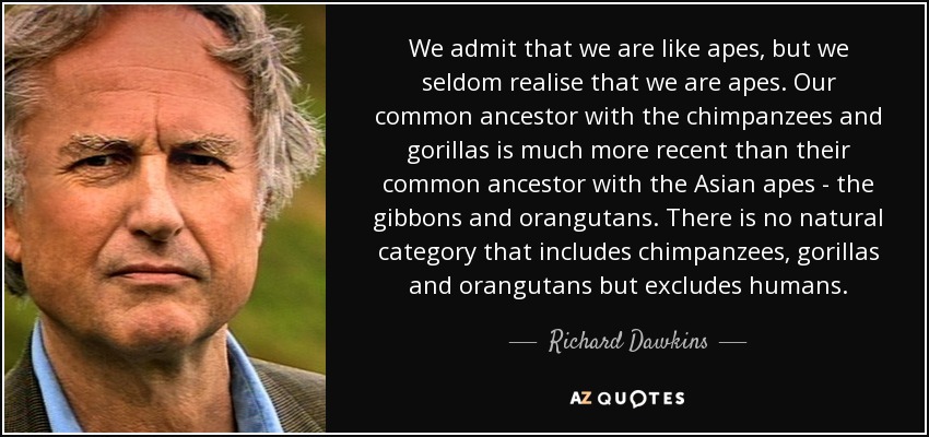 We admit that we are like apes, but we seldom realise that we are apes. Our common ancestor with the chimpanzees and gorillas is much more recent than their common ancestor with the Asian apes - the gibbons and orangutans. There is no natural category that includes chimpanzees, gorillas and orangutans but excludes humans. - Richard Dawkins