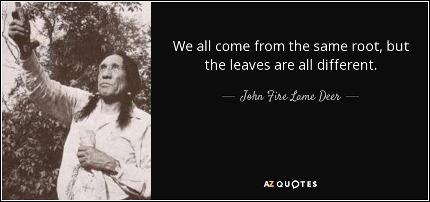 We all come from the same root, but the leaves are all different. - John Fire Lame Deer