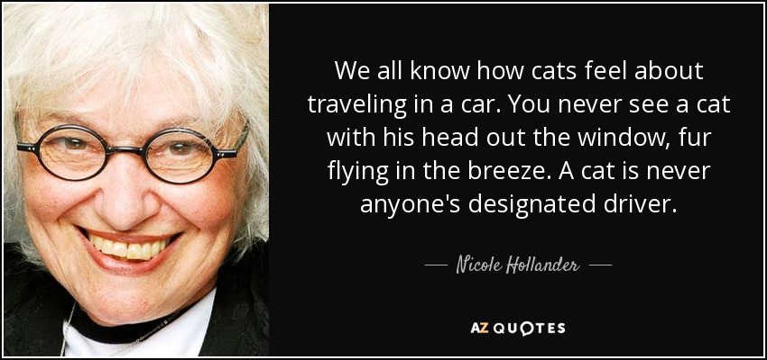We all know how cats feel about traveling in a car. You never see a cat with his head out the window, fur flying in the breeze. A cat is never anyone's designated driver. - Nicole Hollander