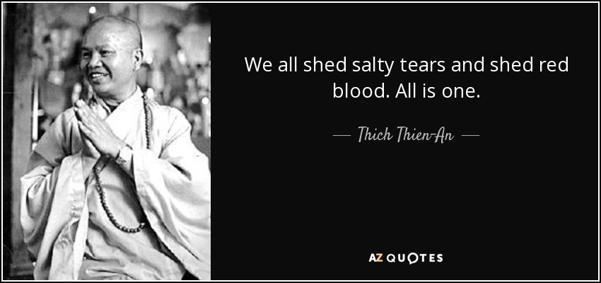We all shed salty tears and shed red blood. All is one. - Thich Thien-An