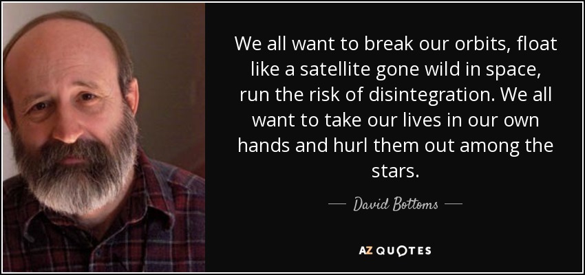 We all want to break our orbits, float like a satellite gone wild in space, run the risk of disintegration. We all want to take our lives in our own hands and hurl them out among the stars. - David Bottoms