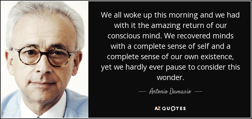 We all woke up this morning and we had with it the amazing return of our conscious mind. We recovered minds with a complete sense of self and a complete sense of our own existence, yet we hardly ever pause to consider this wonder. - Antonio Damasio