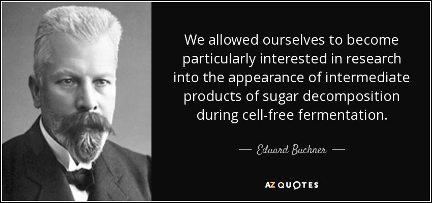 We allowed ourselves to become particularly interested in research into the appearance of intermediate products of sugar decomposition during cell-free fermentation. - Eduard Buchner