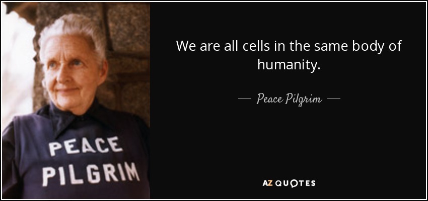 We are all cells in the same body of humanity. - Peace Pilgrim