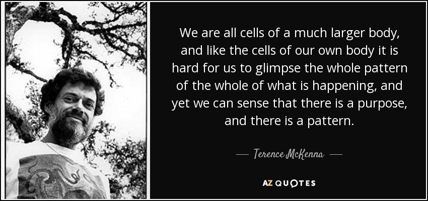 We are all cells of a much larger body, and like the cells of our own body it is hard for us to glimpse the whole pattern of the whole of what is happening, and yet we can sense that there is a purpose, and there is a pattern. - Terence McKenna