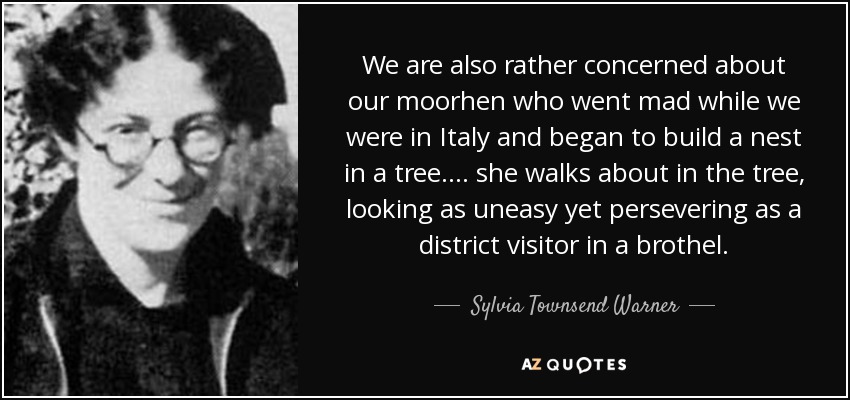 We are also rather concerned about our moorhen who went mad while we were in Italy and began to build a nest in a tree. ... she walks about in the tree, looking as uneasy yet persevering as a district visitor in a brothel. - Sylvia Townsend Warner