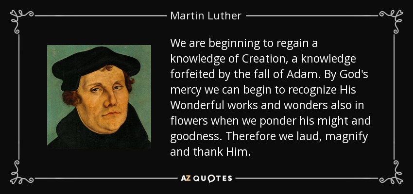 We are beginning to regain a knowledge of Creation, a knowledge forfeited by the fall of Adam. By God's mercy we can begin to recognize His Wonderful works and wonders also in flowers when we ponder his might and goodness. Therefore we laud, magnify and thank Him. - Martin Luther