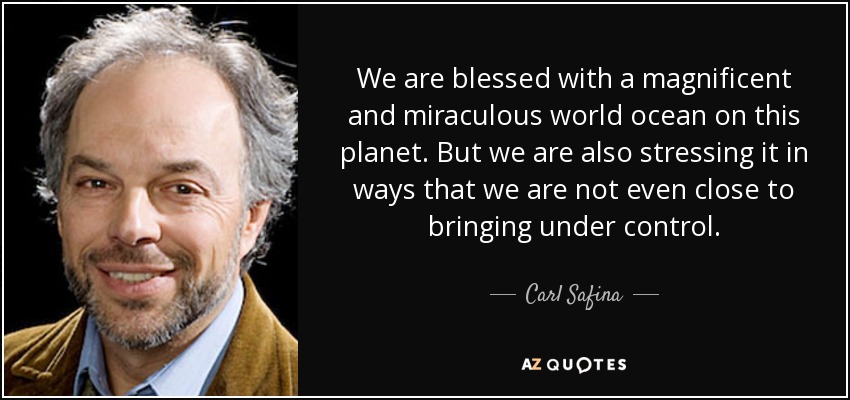We are blessed with a magnificent and miraculous world ocean on this planet. But we are also stressing it in ways that we are not even close to bringing under control. - Carl Safina