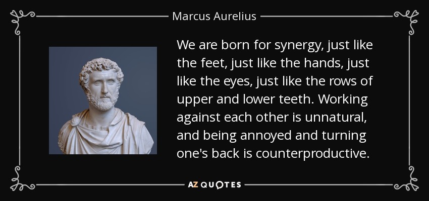 We are born for synergy, just like the feet, just like the hands, just like the eyes, just like the rows of upper and lower teeth. Working against each other is unnatural, and being annoyed and turning one's back is counterproductive. - Marcus Aurelius