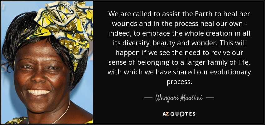 We are called to assist the Earth to heal her wounds and in the process heal our own - indeed, to embrace the whole creation in all its diversity, beauty and wonder. This will happen if we see the need to revive our sense of belonging to a larger family of life, with which we have shared our evolutionary process. - Wangari Maathai
