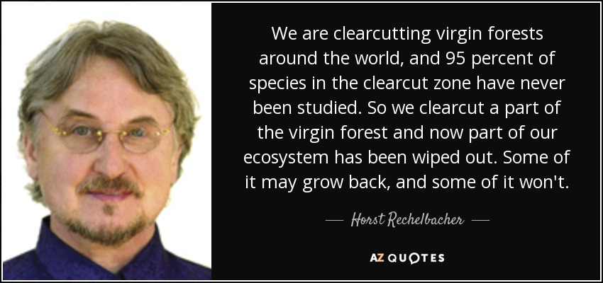 We are clearcutting virgin forests around the world, and 95 percent of species in the clearcut zone have never been studied. So we clearcut a part of the virgin forest and now part of our ecosystem has been wiped out. Some of it may grow back, and some of it won't. - Horst Rechelbacher