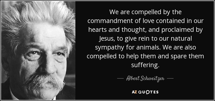 We are compelled by the commandment of love contained in our hearts and thought, and proclaimed by Jesus, to give rein to our natural sympathy for animals. We are also compelled to help them and spare them suffering. - Albert Schweitzer