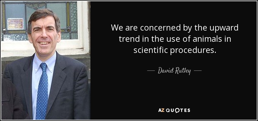 We are concerned by the upward trend in the use of animals in scientific procedures. - David Rutley