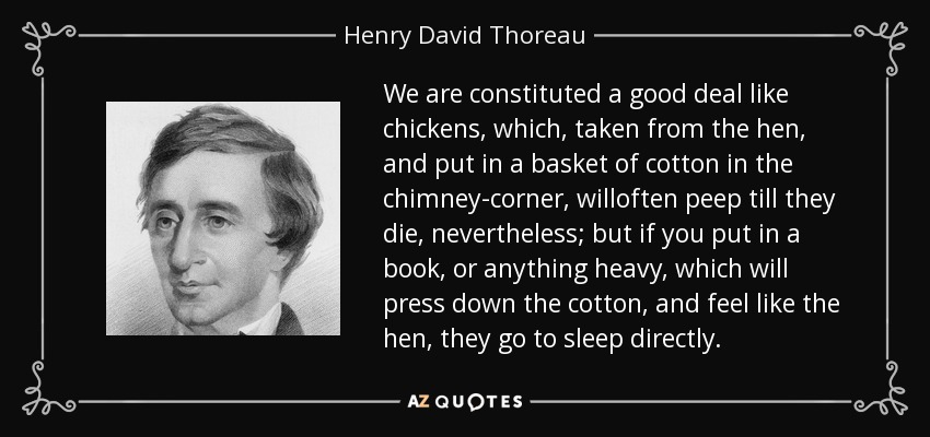 We are constituted a good deal like chickens, which, taken from the hen, and put in a basket of cotton in the chimney-corner, willoften peep till they die, nevertheless; but if you put in a book, or anything heavy, which will press down the cotton, and feel like the hen, they go to sleep directly. - Henry David Thoreau