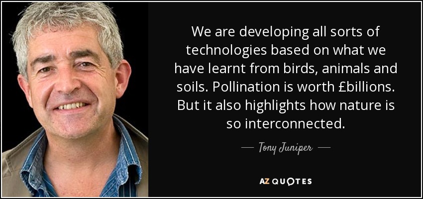 We are developing all sorts of technologies based on what we have learnt from birds, animals and soils. Pollination is worth £billions. But it also highlights how nature is so interconnected. - Tony Juniper