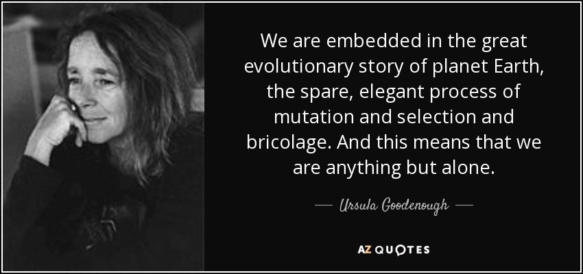 We are embedded in the great evolutionary story of planet Earth, the spare, elegant process of mutation and selection and bricolage. And this means that we are anything but alone. - Ursula Goodenough