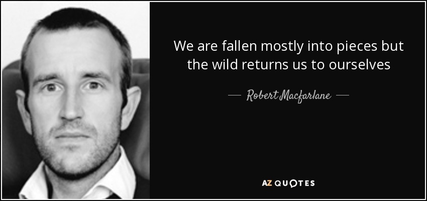 We are fallen mostly into pieces but the wild returns us to ourselves - Robert Macfarlane