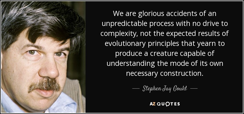 We are glorious accidents of an unpredictable process with no drive to complexity, not the expected results of evolutionary principles that yearn to produce a creature capable of understanding the mode of its own necessary construction. - Stephen Jay Gould